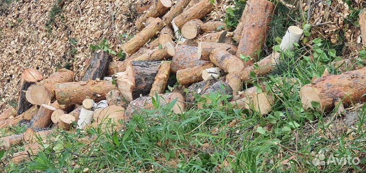 Дрова берёза и сосна цена за все
