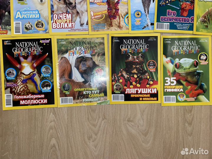 Журналы юный путешественник National Geographic