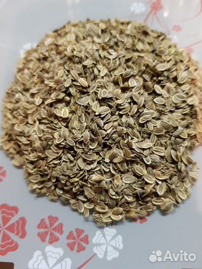 Семена укропа со своего огорода