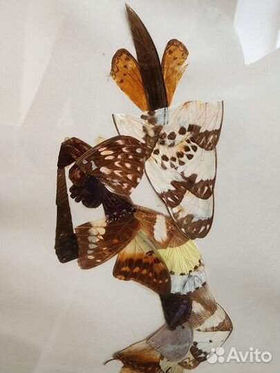 Интерьерная картина из бабочек