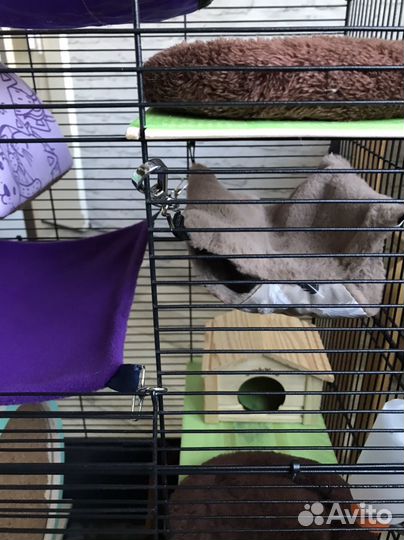 Клетка 87*57*40 для грызунов «под ключ» есть всё