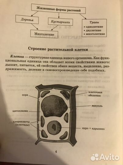 Справичник по биологии 6-9 класс