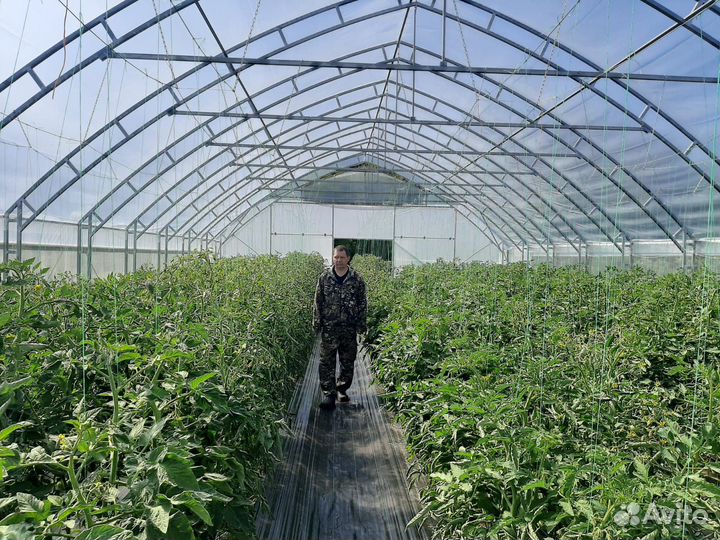 Теплица промышленная под пленку Супермодуль 10х50