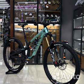 Canyon spectral 2024 al 2020