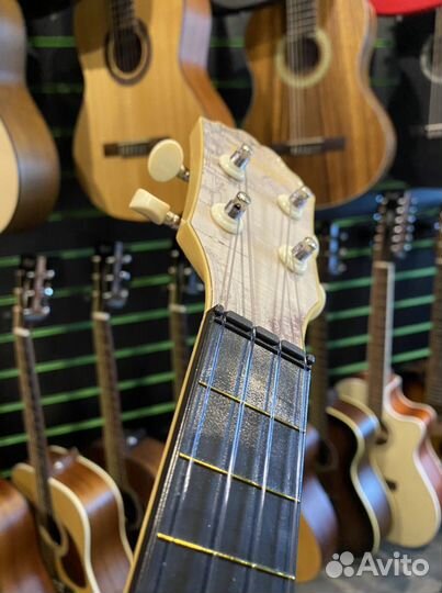 Укулеле сопрано terris plus-70 cars