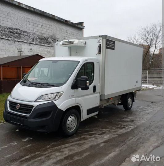 Грузоперевозки рефрижератор, город, межгород