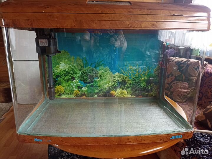 Аквариум