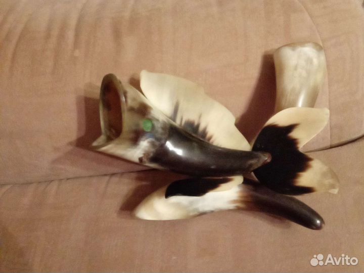 Рыба из рога. СССР