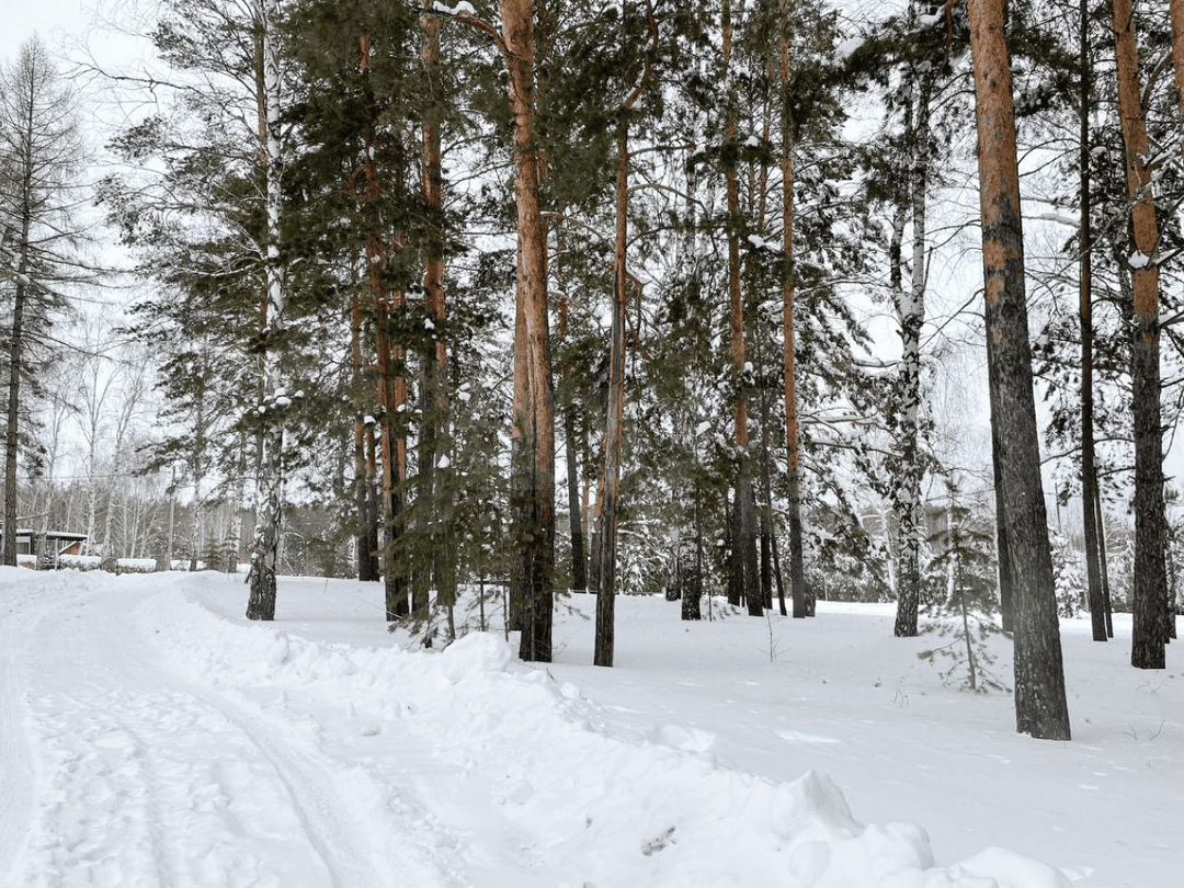 Купить землю в Сысерти