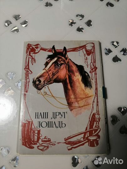 Открытки с лошадьми