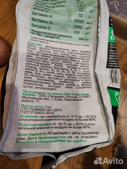 Корм для котят