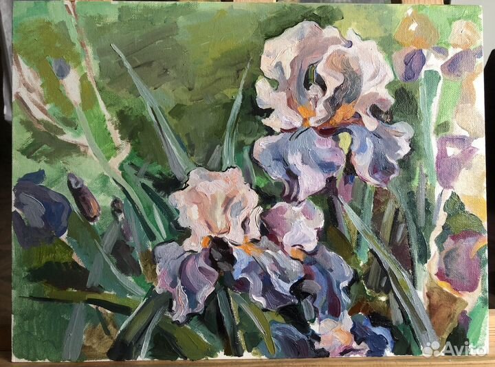 Ирисы. Этюд маслом