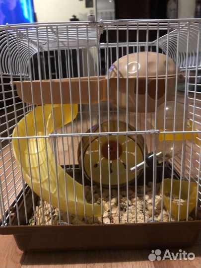 Клетка для грызунов (джунгарского хомяка)