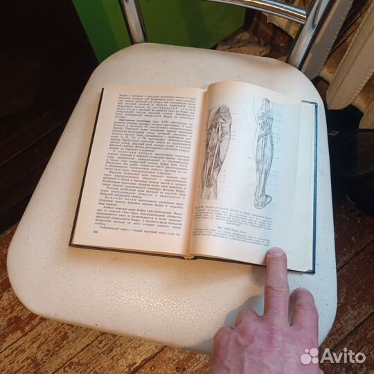 Книга анатомия человека