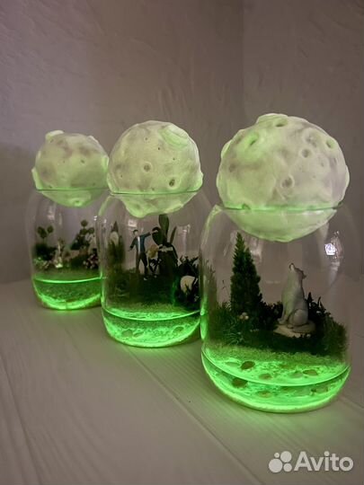 Флорариум Моссариум Подарок