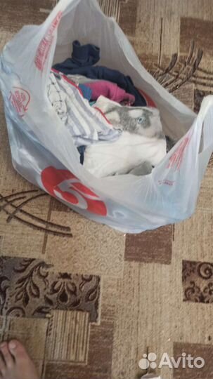 Вещи пакетом на мальчика 86 р