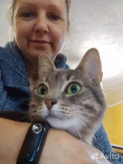 Передержка кошек и собак