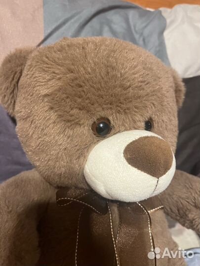Плюшевый медведь