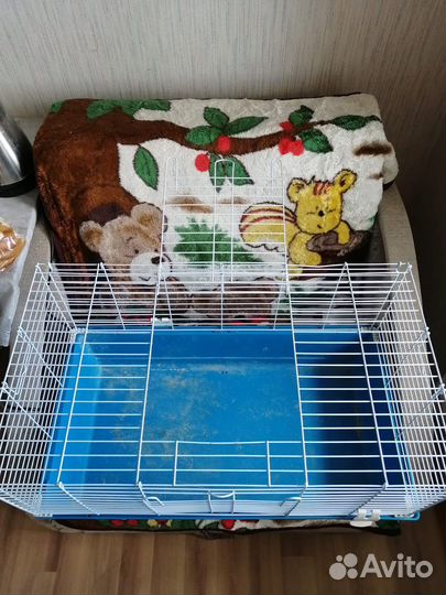 Клетка для грызунов