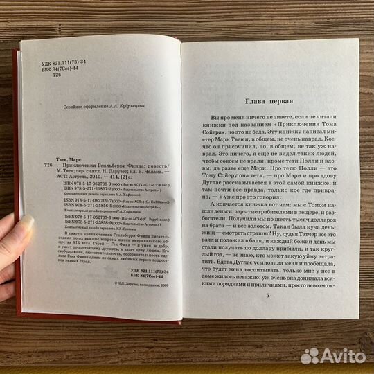 Книга Приключения Гекльберри Финна