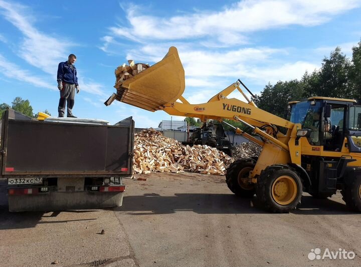 Дрова береза