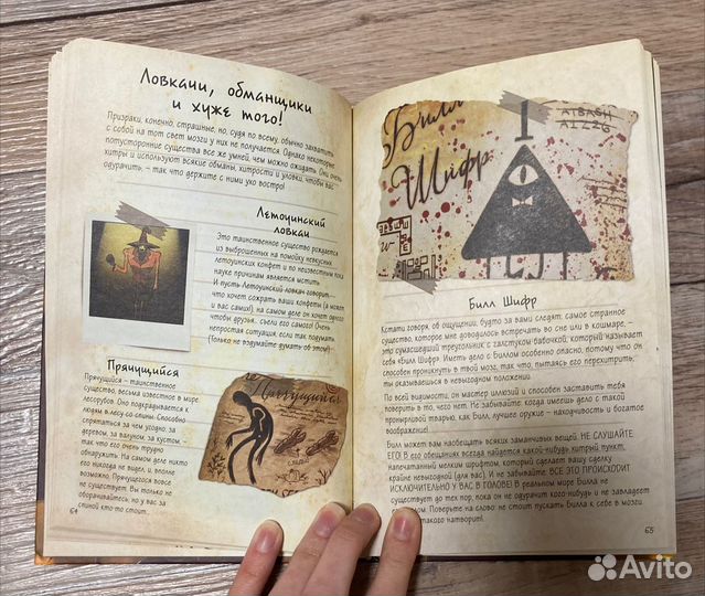 Дневник Диппера и Мэйбл 