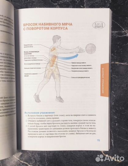 Анатомия плиометрики