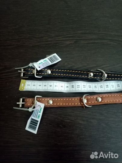 Ошейник для собаки