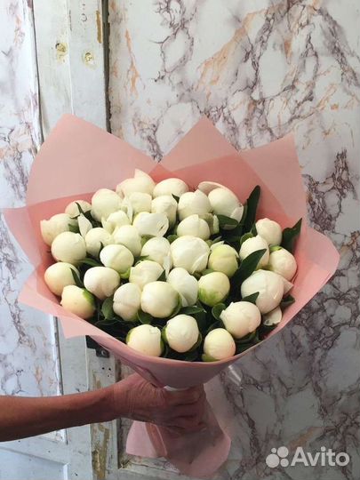 Пионы белые опт коробка доставка цветы