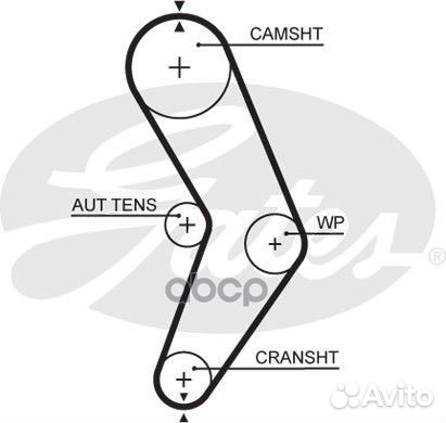 Зубчатый ремень привода грм PowerGrip 5662XS G