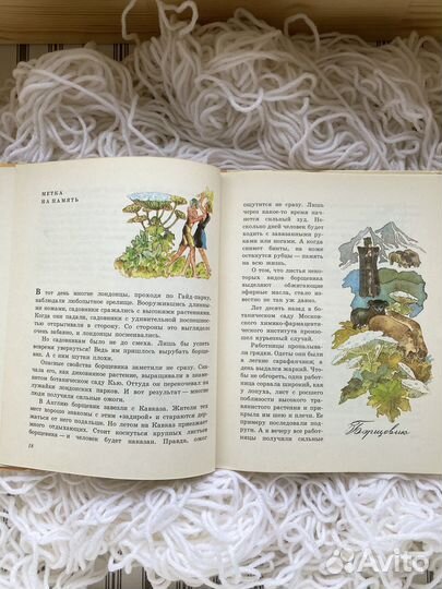 Научно-художественная лит. Заколдованное дерево