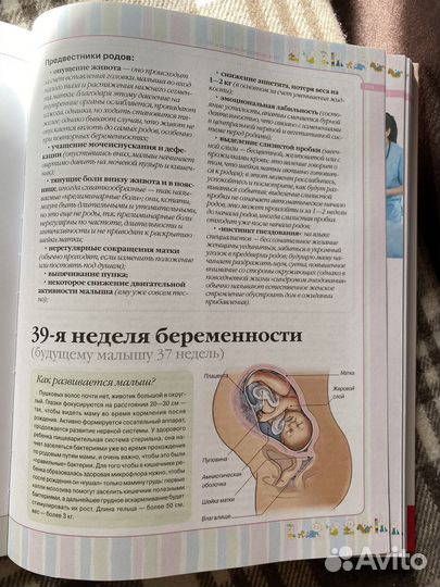 Книги по беременности