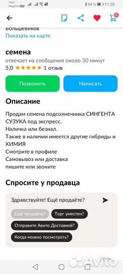 Семена подсолнечника сузука