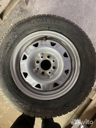 Matador MP 51 Sibir 2 175/70 R15