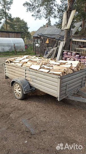 Дрова в сетка берёзовые