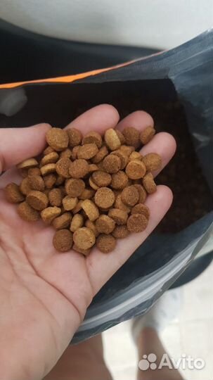 Сухой корм Chedy для кошек, 10 кг (на замену монж)