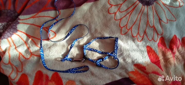 Шлейка для собак