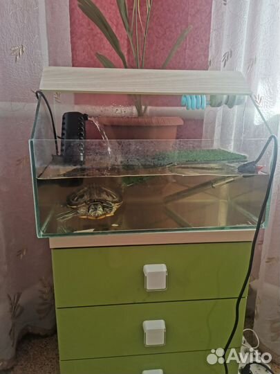 Террариум для красноухой черепахи