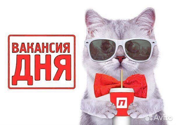 Грузчик-разнорабочий ежедневные выплаты