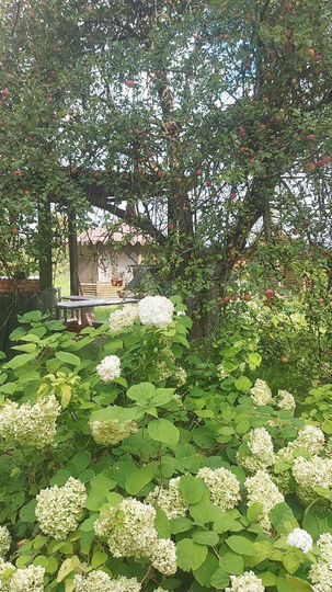 Дом 266 м² на участке 15 сот.