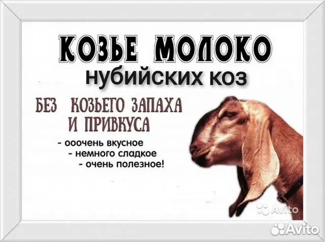 Козье молоко, яйцо домашнее