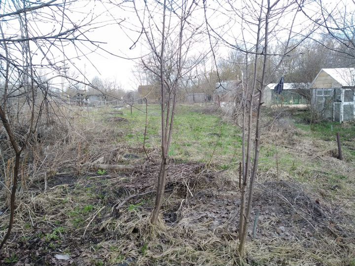 Участок 4 сот. (СНТ, ДНП)