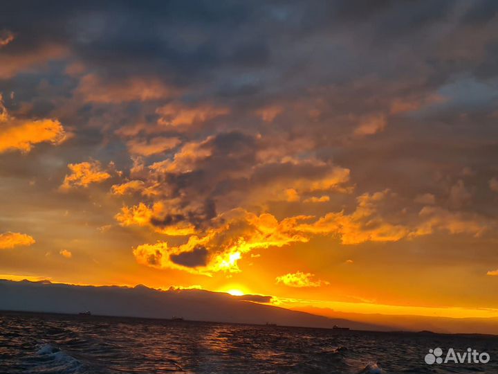 Морские прогулки по Авачинской бухте