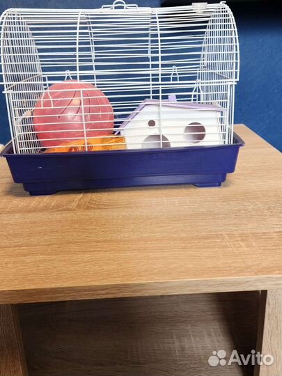 Клетка для грызунов бу