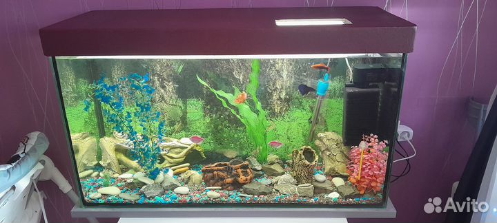 Аквариум готовый на 166л