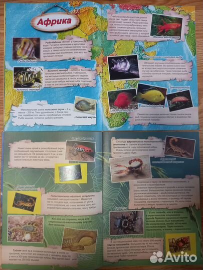 Детские музыкальные книги, энциклопедии