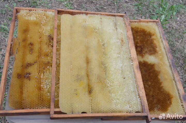 Сушь для пчел. Дадан