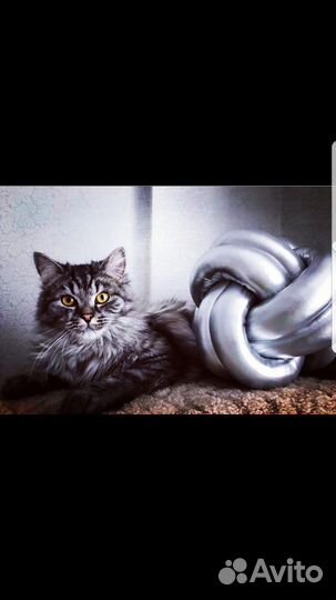 Подушка-узел