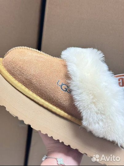 Тапочки Ugg Eva Platform оригинал