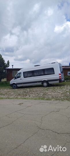 Пассажирские перевозки микроавтобус